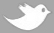 Follow us on Twitter!