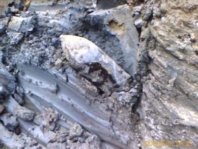 uxo survey - Fugro uxo clearance services and geophysical surveys clear unexploded ordnance  and unexploded bomb (UXB) risk before piling 