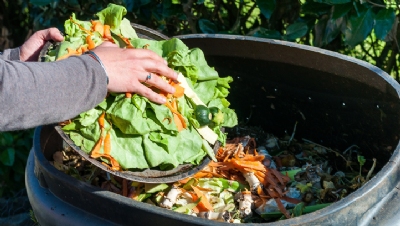 Recycling gets its time to shine at EFRA inquiry