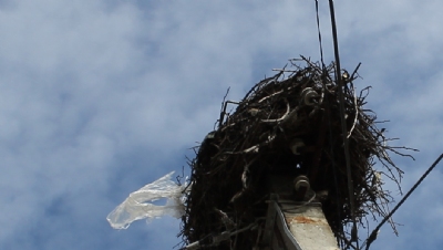 Three degrees of plastic bags and how they degrade