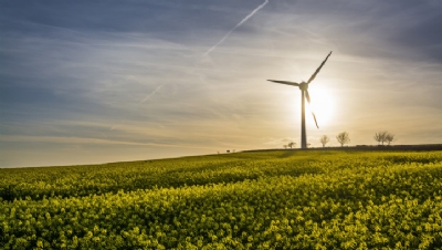 The 25 Year Environment Plan: reasons to look on the bright side