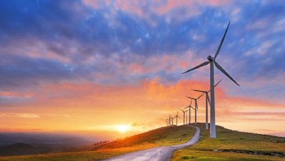 The Climate Coach: Renewable Energy
