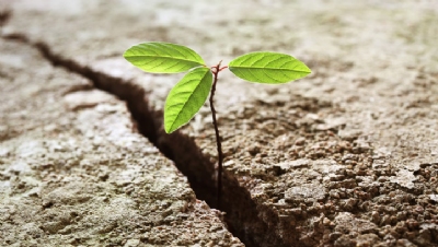 Operationalising sustainability as an opportunity
