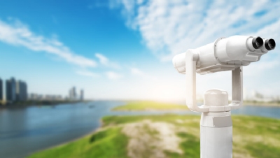 Future gazing the role of the sustainability profession