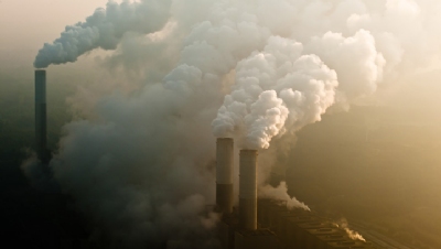 What is the role of business in delivering a net-zero carbon future?