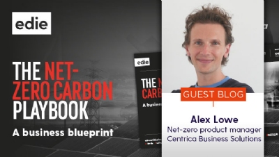How to be a net-zero winner