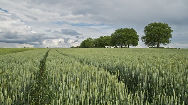 A More Sustainable Agriculture Business Green Technology