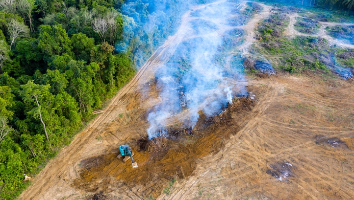 Amazon Rainforest Fires We Must Rise Above The Egos And Insults Threatening Climate Change Policy Matt Mace S Blog Amazon Rainforest Fires We Must Rise Above The Egos And Insults Threatening Climate Change Policy Matt Mace S Blog