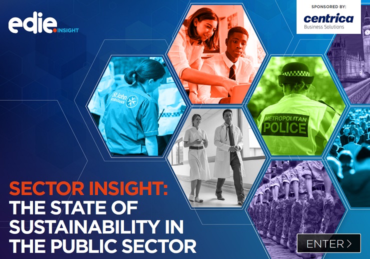 Sector insight: The state of sustainability in the public sector