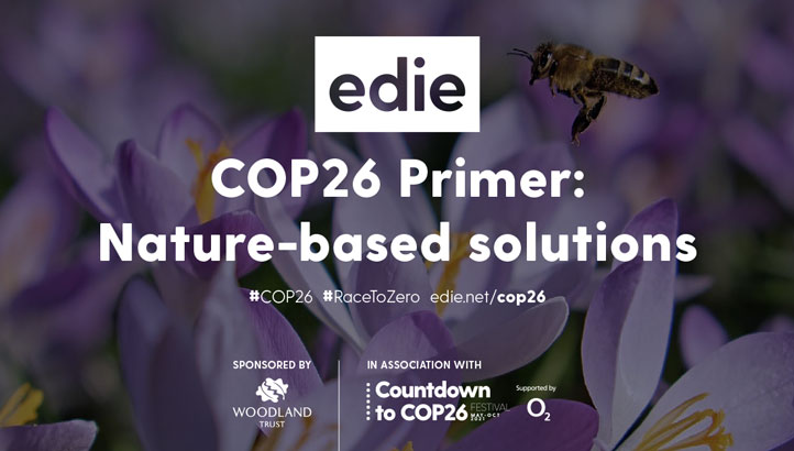 COP26 Primer: Nature-based solutions