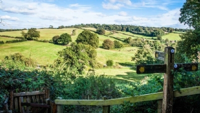 Defra unveils £10m fund for nature-based climate solutions - Vimarsana News