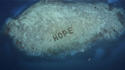 'World's largest' coral reef restoration project backed by Mars Petcare - Vimarsana News