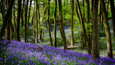 The policy updates build on an overarching vision to protect 30% of land for nature