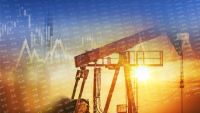 WWF: UK banks and investors financing projects with double nation's climate impact - Vimarsana News