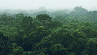 ENCORE: UN-backed biodiversity module to help investors factor nature into spending decisions - Vimarsana News
