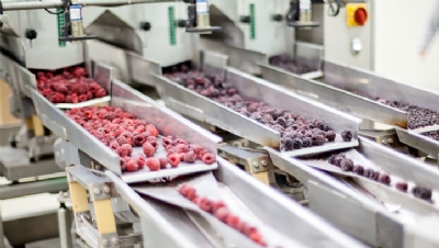 UK food and drink sector to halve emissions by 2030, under updated WRAP targets - Vimarsana News