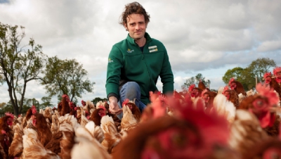 KP Snacks to scale regenerative farming, Morrisons turns to insect-based chicken feed - Vimarsana News