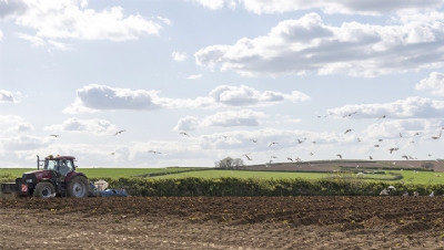 Farmers in England to be paid for nature restoration and creation from 2023 - Vimarsana News