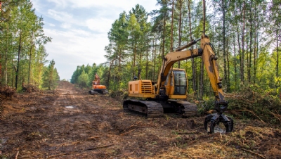 Two-thirds of finance giants 'continuing to fund deforestation', report warns - Vimarsana News