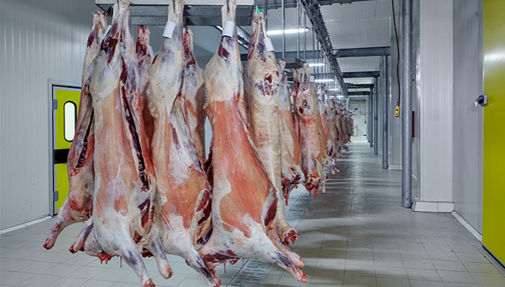 Carbon Filter for Odour Control in Abattoirs and Blood Tanks - Vimarsana News
